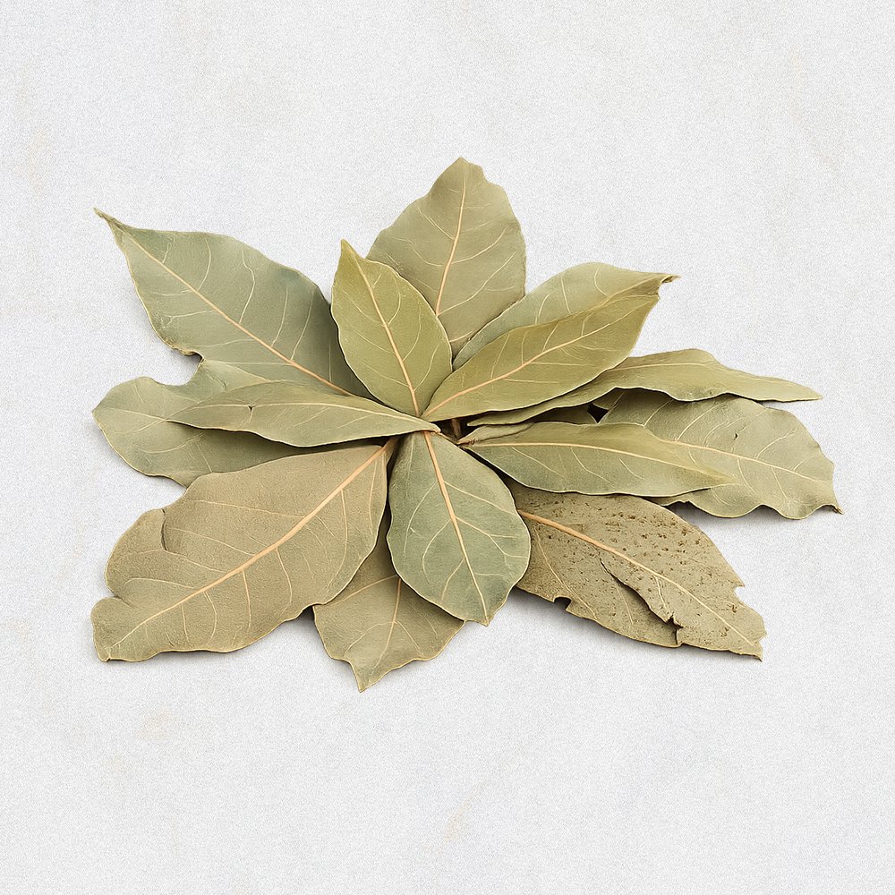 Bay Leaf