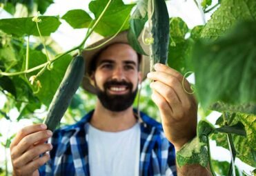 organic4 organic4