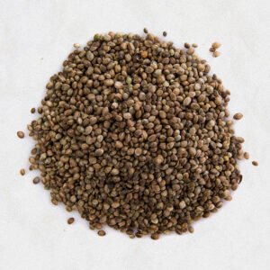 Coriander Seed