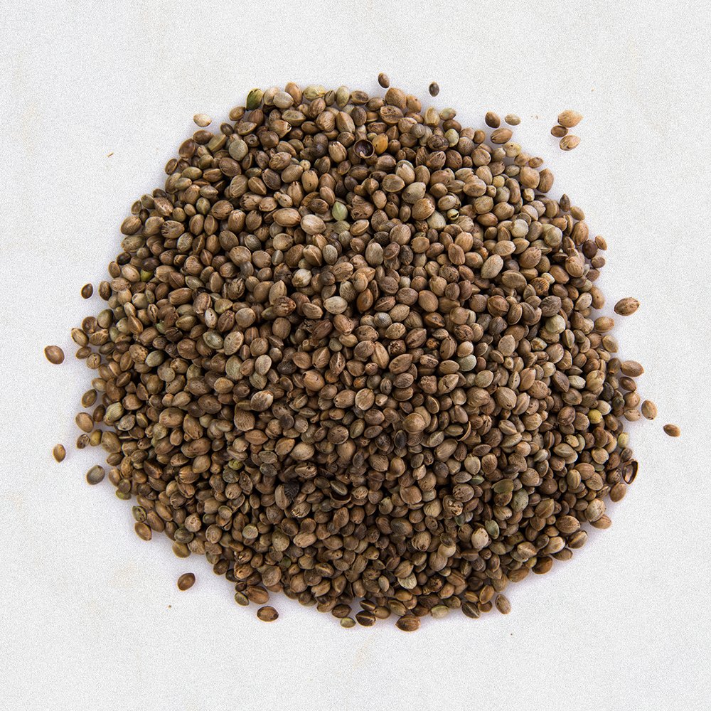 Coriander Seed