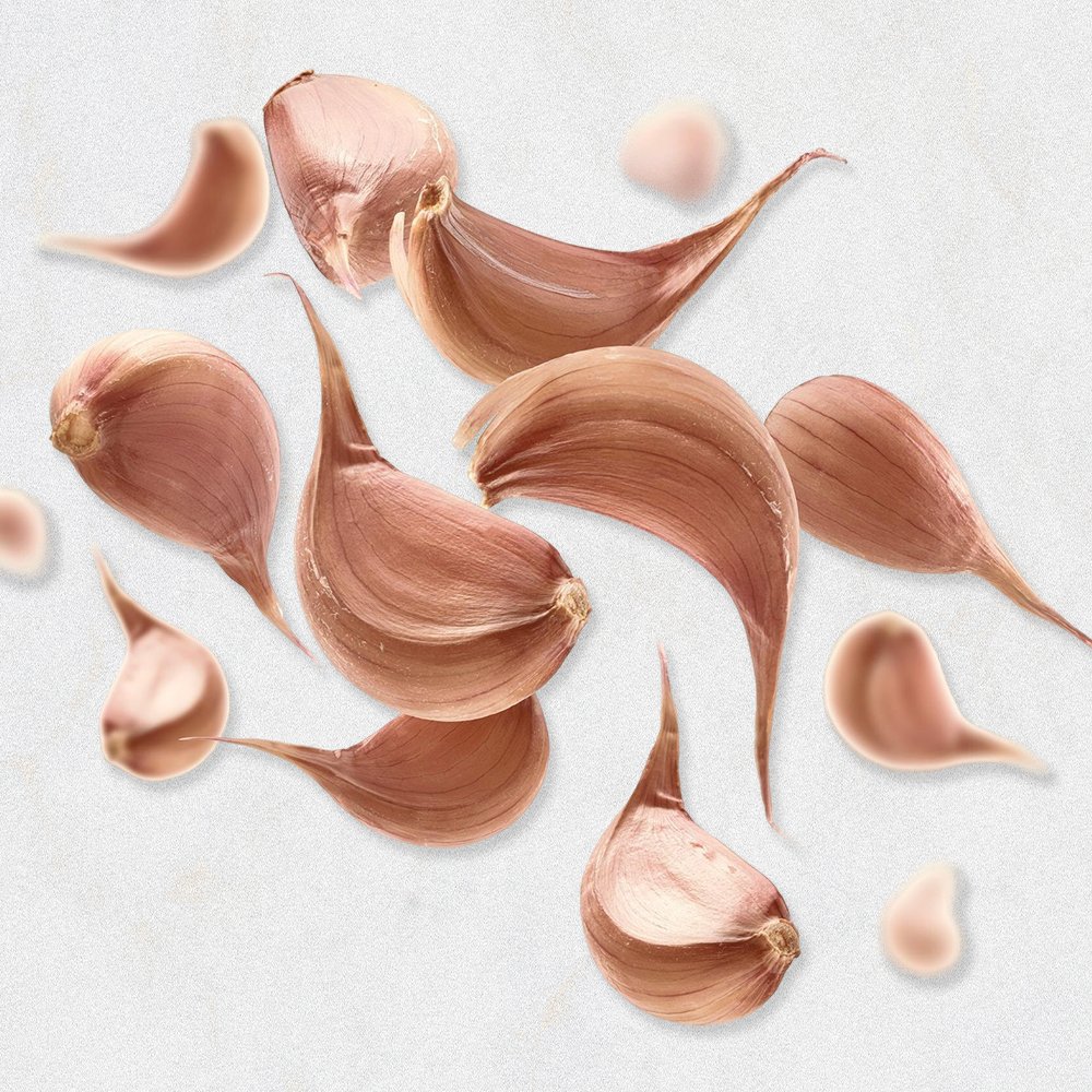 Garlic