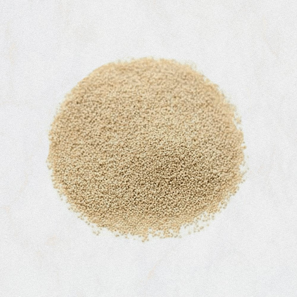 Poppy Seed
