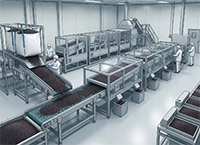 Black Mustard Seed processing